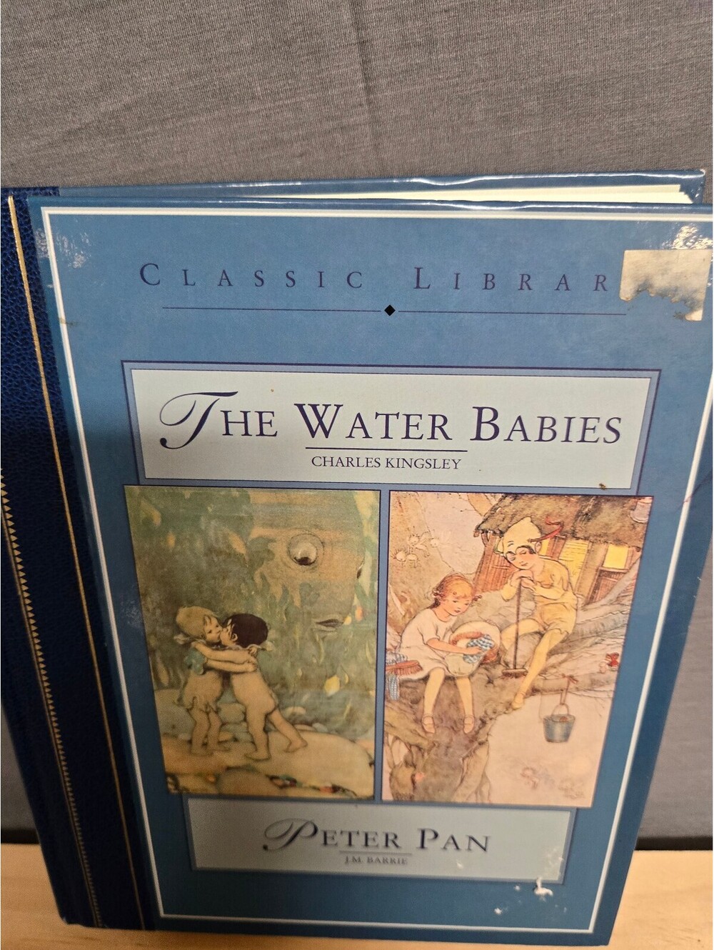 The Water Babies by Charles Kingsley - Classic Library 1995